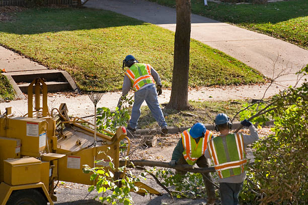 Best Lawn Renovation and Restoration  in Aberdeen, ID